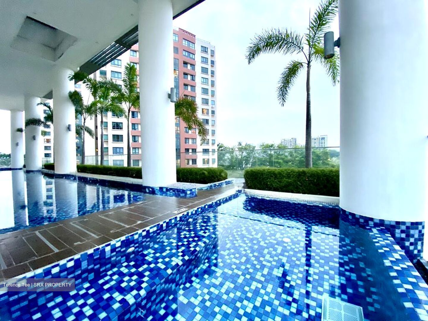 Haig 162 (D15), Apartment #501990361